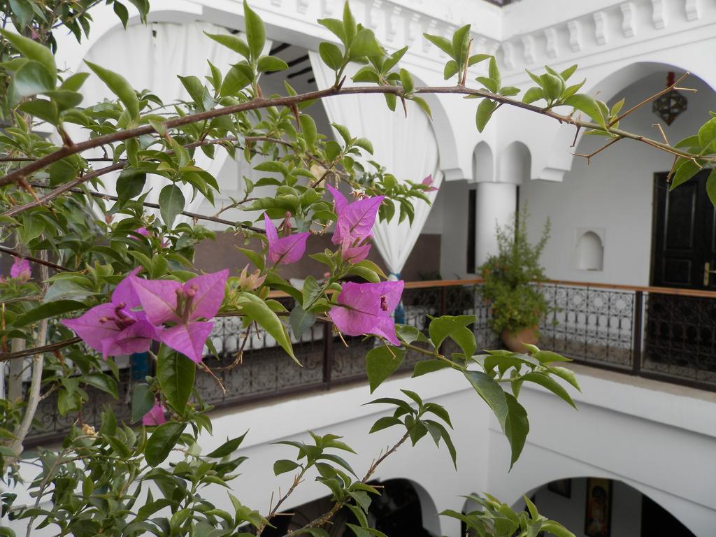 Riad Ailen Marakeş Dış mekan fotoğraf